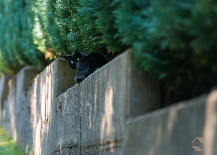 Gruden Sommerberg 3* באד ווילבאד